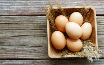 Afinal, você deve evitar os ovos para manter a saúde?