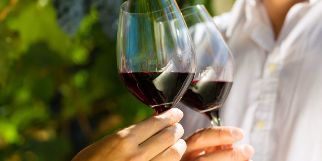 Mito ou verdade: vinho faz bem à saúde?