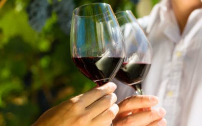 Mito ou verdade: vinho faz bem à saúde?