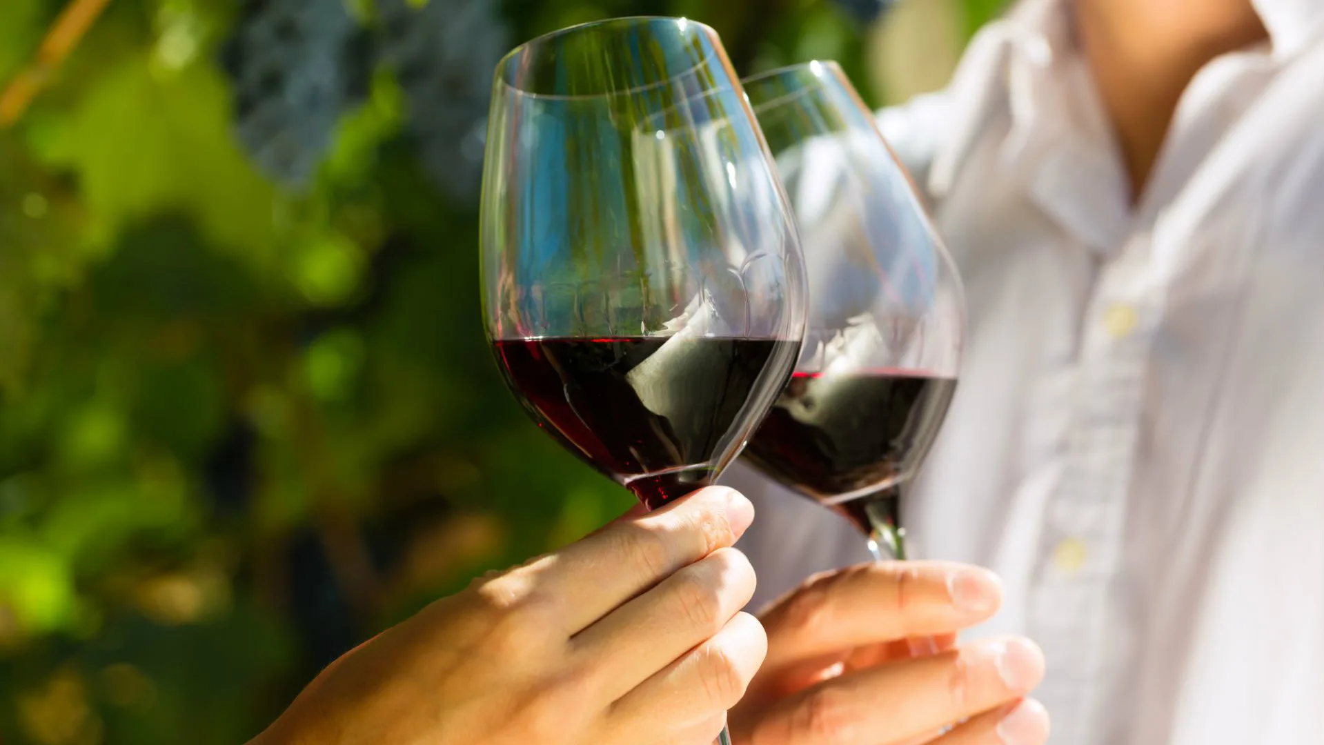 vinho faz bem à saúde vinho faz bem à saúde