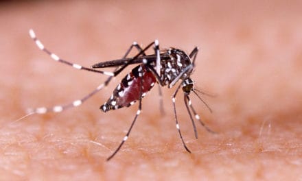 Quais são as doenças transmitidas pelo Aedes aegypti?