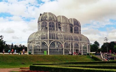 Plano de saúde para empresas em Curitiba